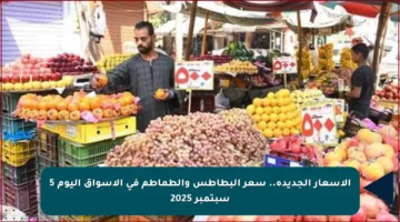 الأسعار الجديدة.. سعر البطاطس والطماطم في الأسواق اليوم 5 سبتمبر 2025